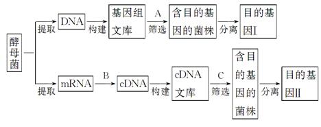 耀华建设管理有限公司关于绍兴市疾病预防控制中心宏基因组DNA和RNA文库共建试剂项目中标(成交)结果公告